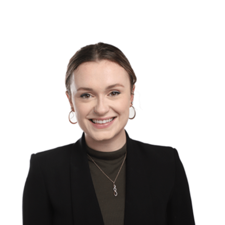 software consultant
