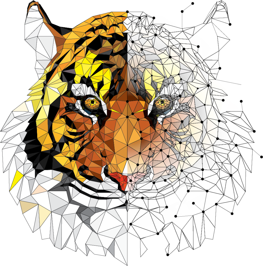tiger award image (drawn tiger part pencil part data points)